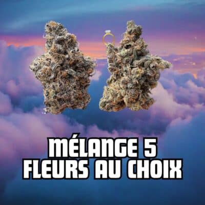 Pack CBD - 5 fleurs au choix