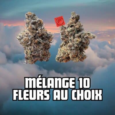 Pack CBD - 10 fleurs au choix