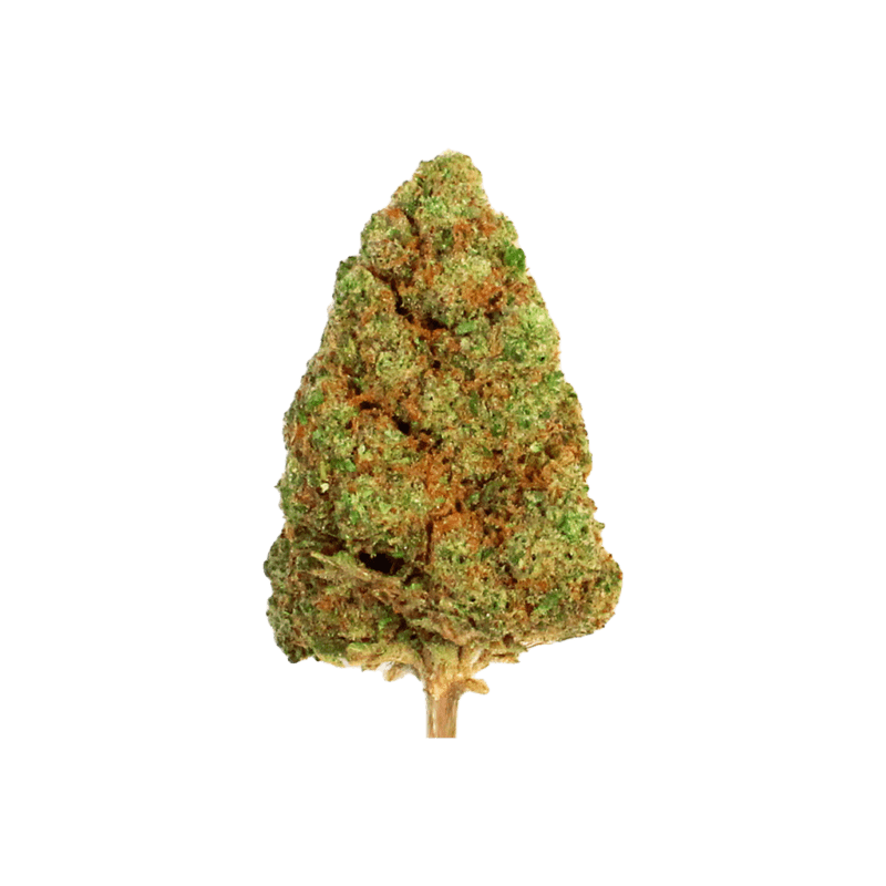 fleurs CBD - Pink Lady - Greenhouse