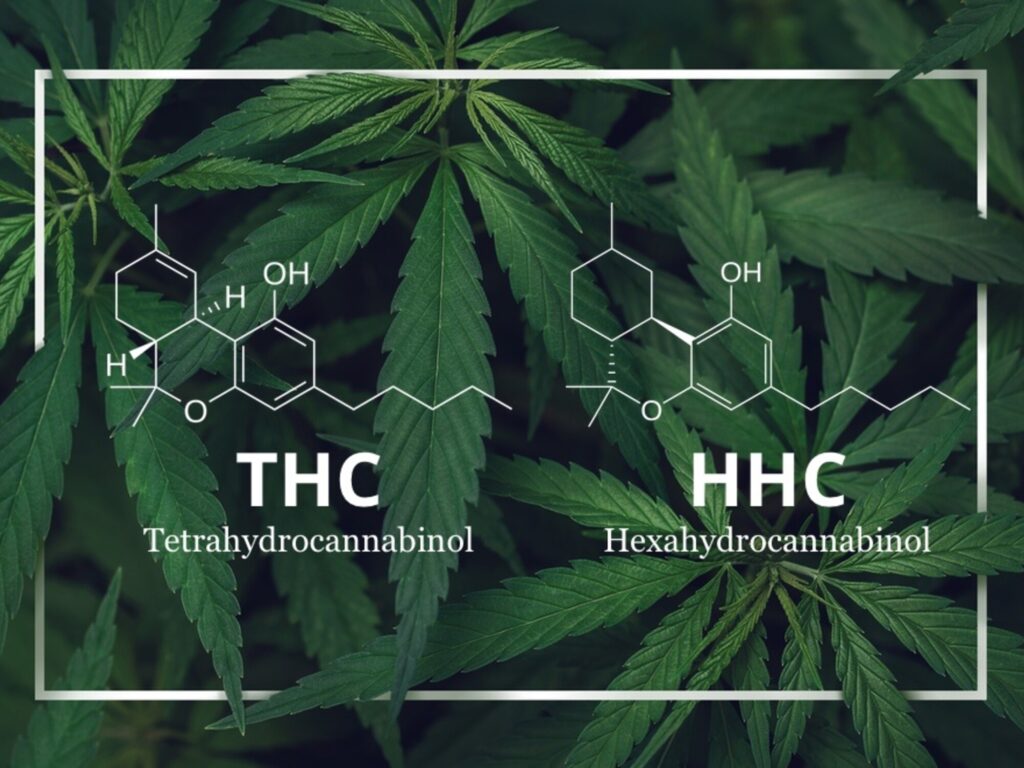 HHC VS THC