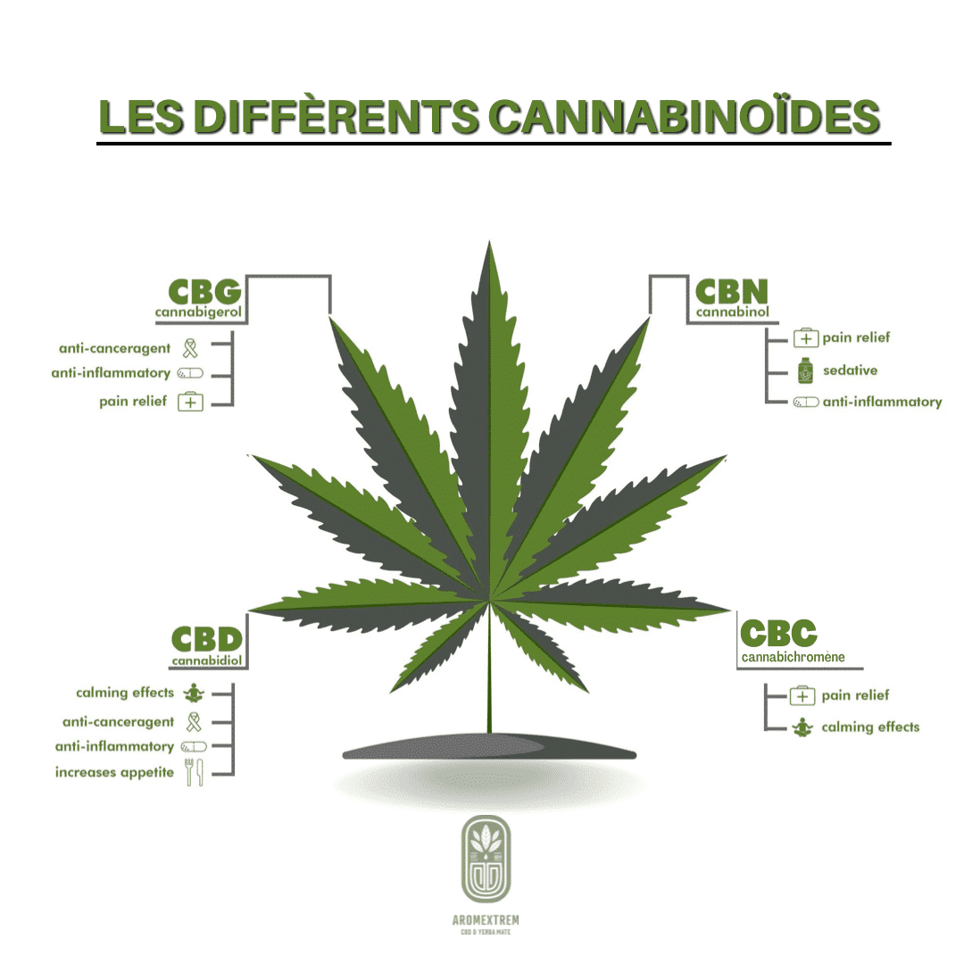 MOLÉCULES CANNABIS