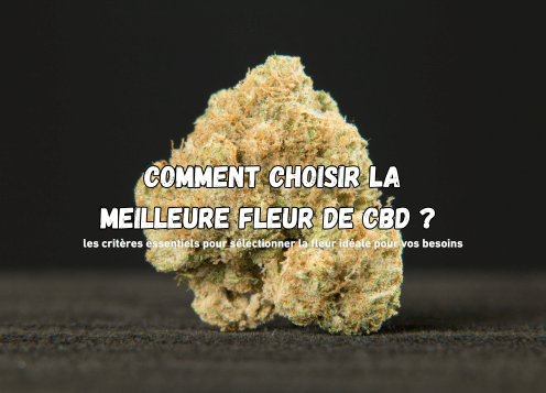 choisir fleurs de cbd