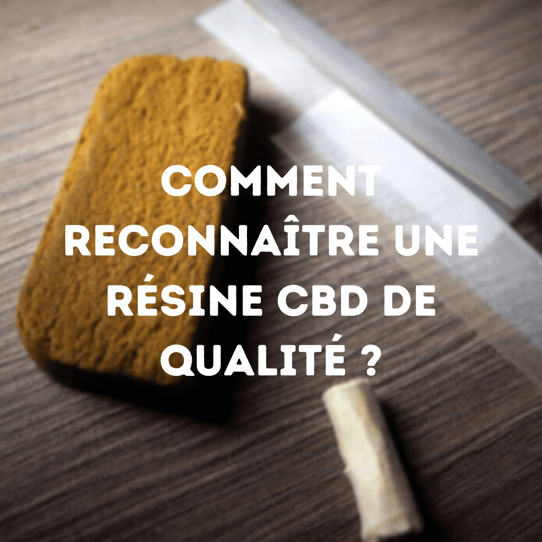 comment reconnaitre une résine de CBD de qualité ?