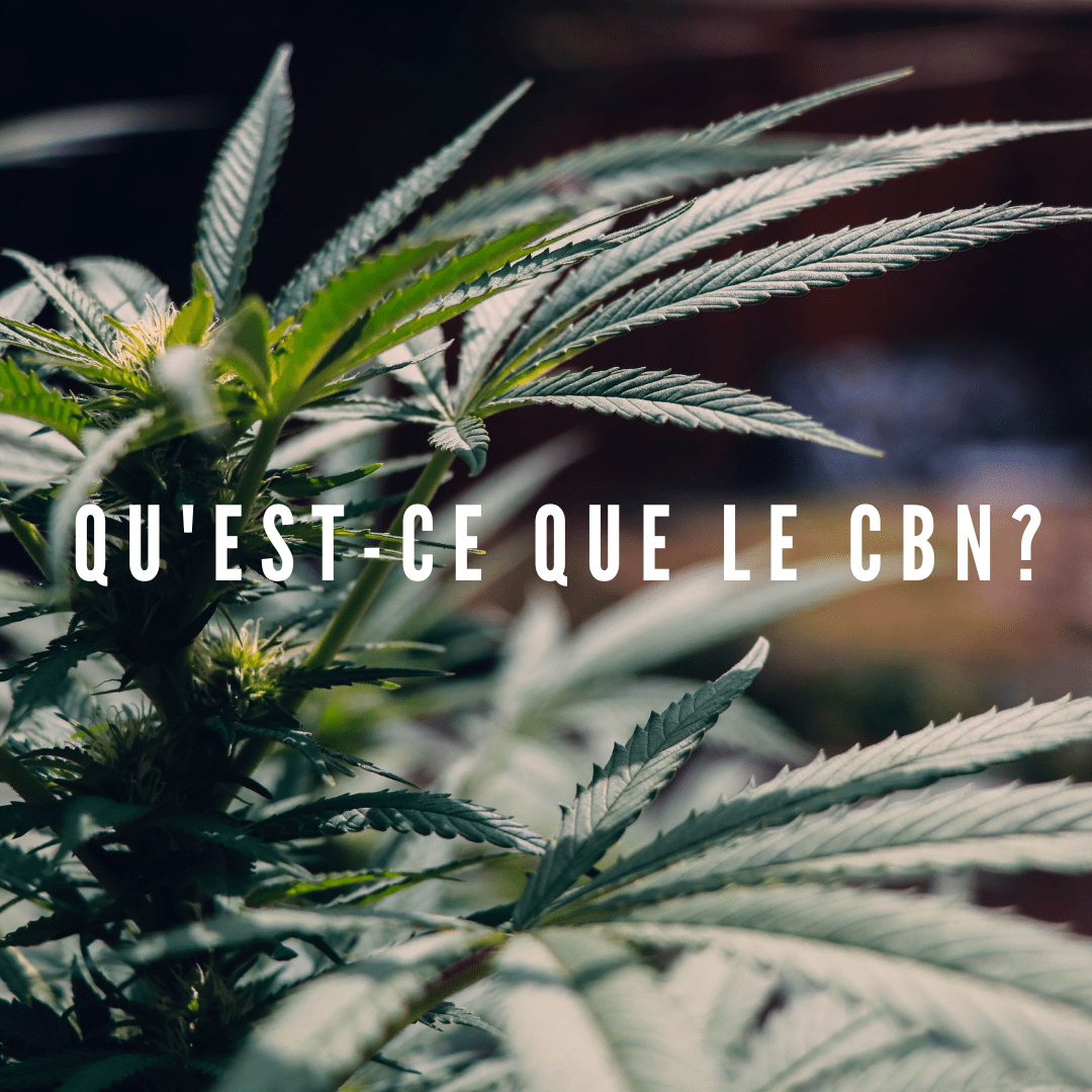 Qu'est-ce que le CBN