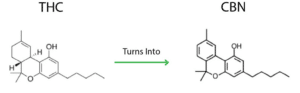 thc vs cbd