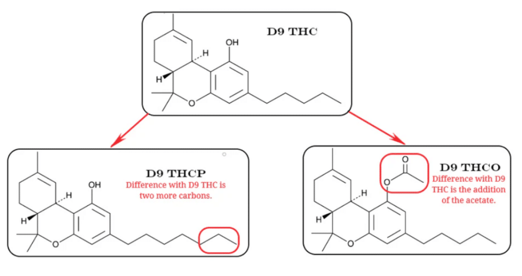 thc o fabrication