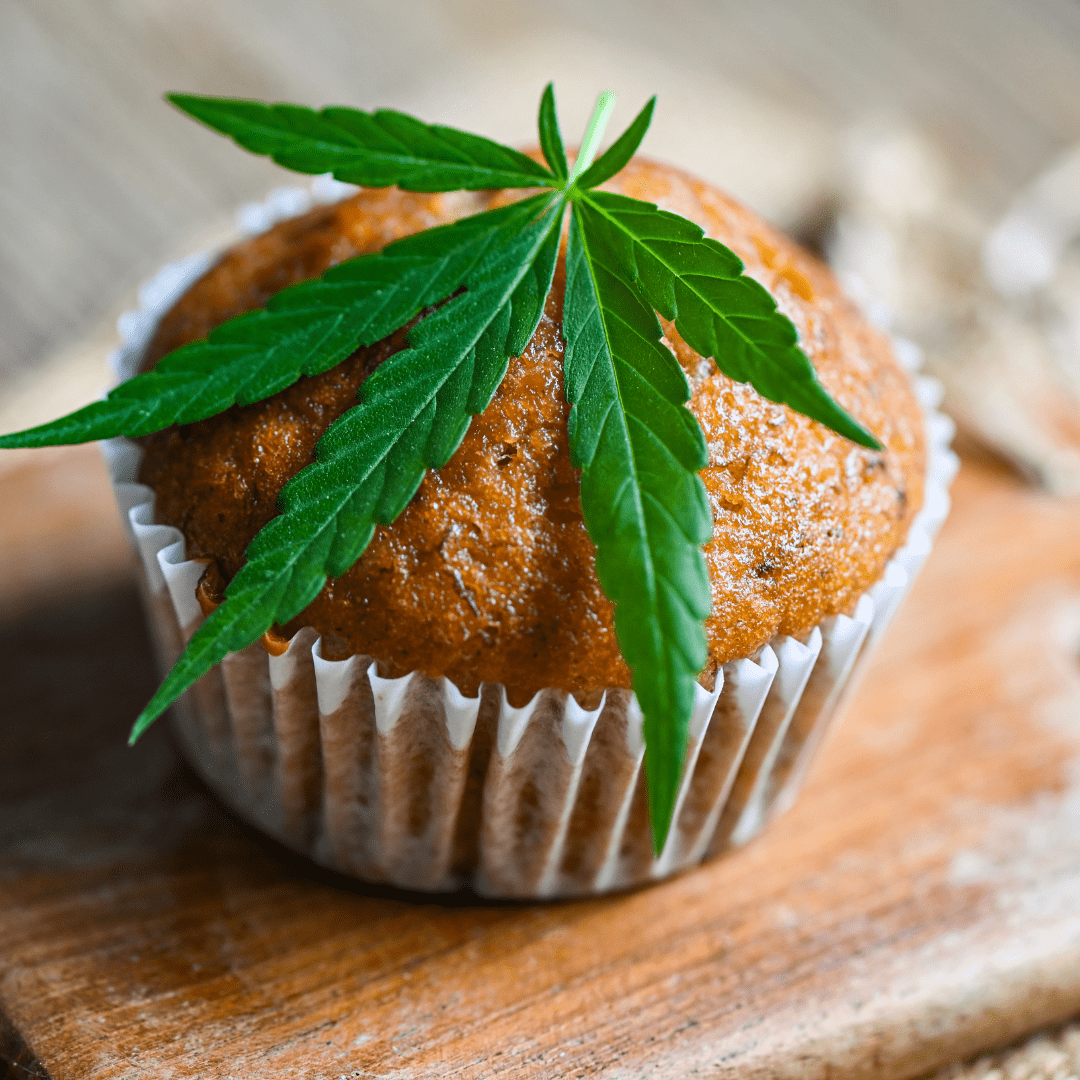 space cake cbd recette