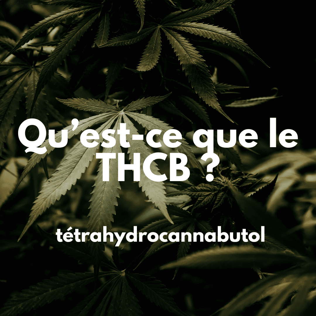 Qu'est-ce que le THCB ?