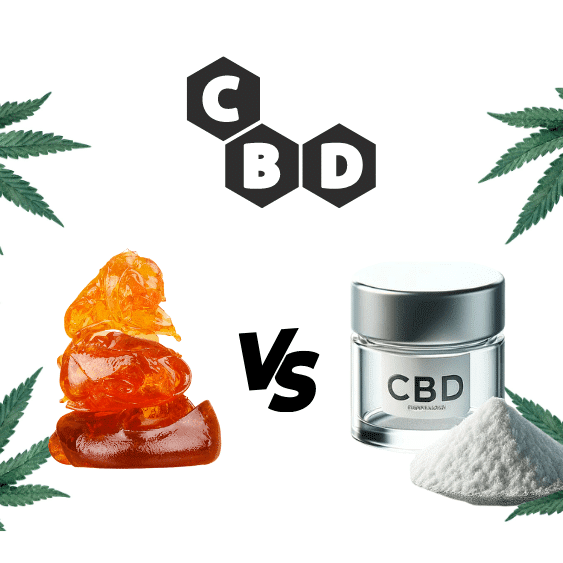 La différence entre isolat de CBD et le distillat de CBD