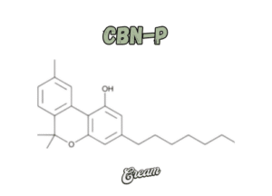 cannabinoïde CBNP