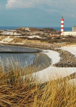 Acheter du CBD à Berck